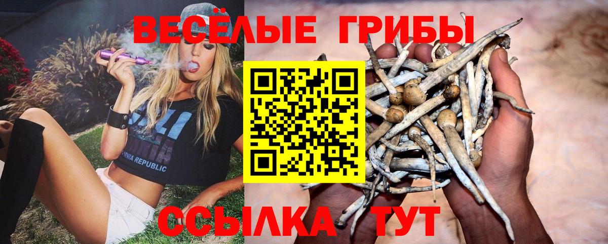 Псилоцибиновые грибы GOLDEN TEACHER Альметьевск