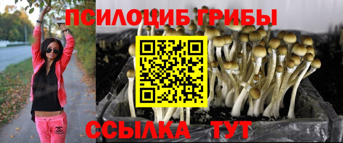 Галлюциногенные грибы Magic Shrooms  Галлюциногенные грибы мухоморы  Вход с VPN  Альметьевск 